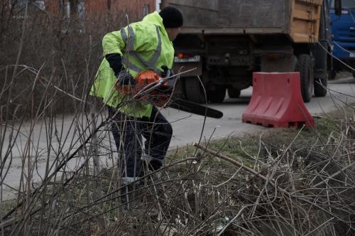 Фото А. Рашевского.
