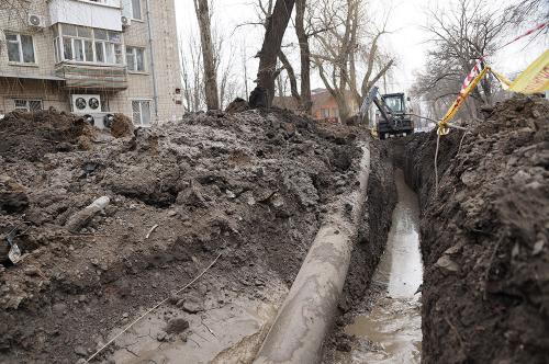 Фото А. Рашевского.