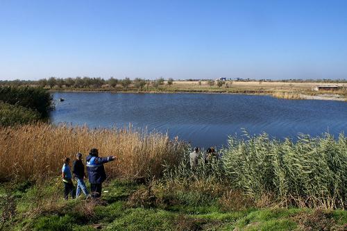 фото А.Кондратьева