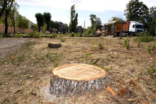 фото А. Кондратьева