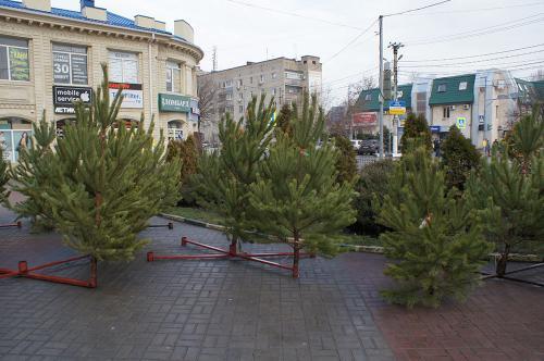 фото А.Кондратьева