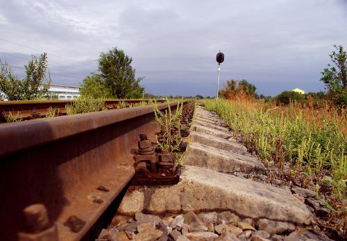 фото А. Кондратьева