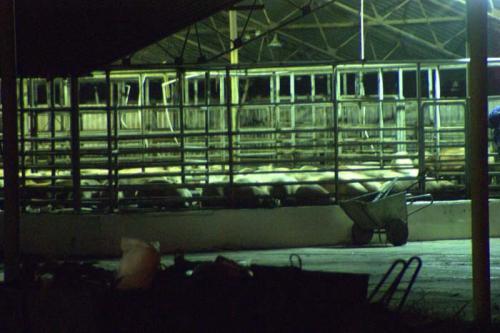 Фото А. Кондратьева