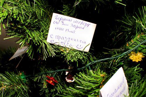 фото А. Кондратьева