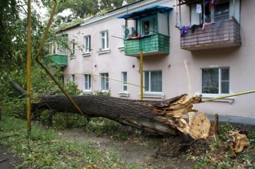 Фото А. Кондратьева