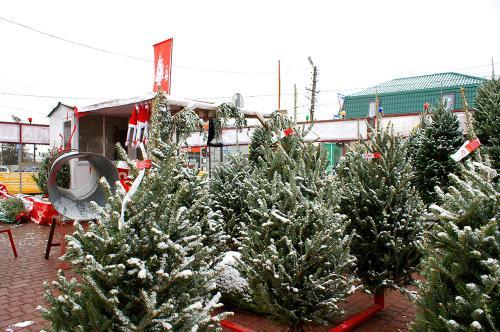 фото А.Кондратьева