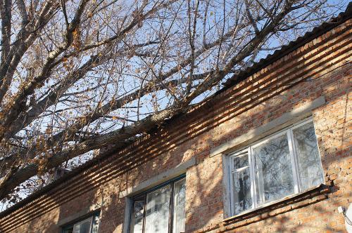 фото А.Кондратьева