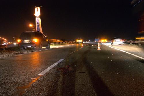 Фото А. Кондратьева