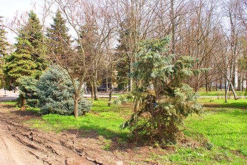 фото А. Кондратьева