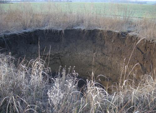 В огромных шурфах часто можно встретить останки животных, которые провалились сюда случайно В огромных шурфах часто можно встретить останки животных, которые провалились сюда случайно