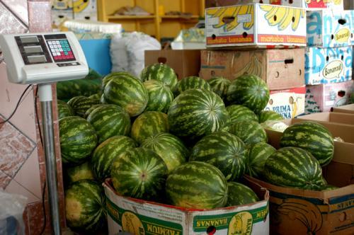 Фото А. Кондратьева