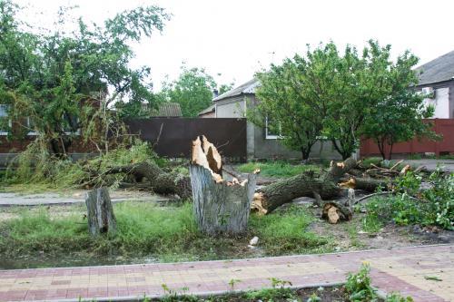 Так стихия погуляла в Западном Батайске. Фото Ксении Золотаревой. Так стихия погуляла в Западном Батайске. Фото Ксении Золотаревой.
