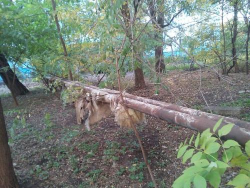 Фото БВ Фото БВ