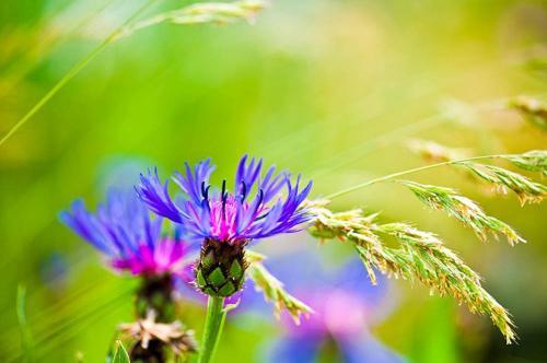 Фото http://st.gde-fon.com/ Фото http://st.gde-fon.com/