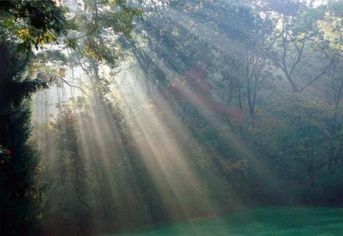 Фото http://www.bolshoyvopros.ru Фото http://www.bolshoyvopros.ru