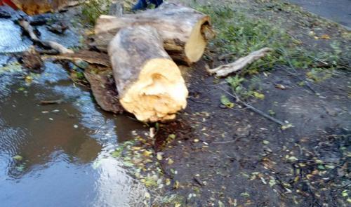 Фото И. Колпакова 