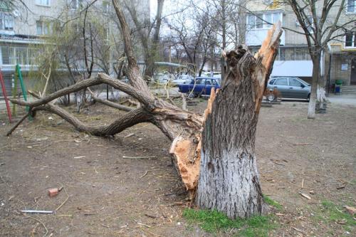 Фото О. Петрушина