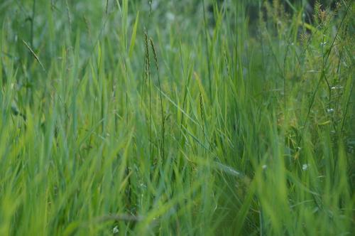 Фото из архива БВ 