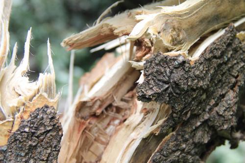 Фото http://strana.ru