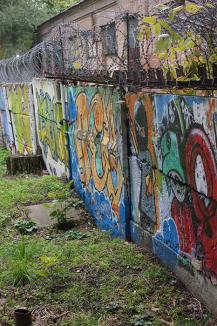 фото А. Кондратьева