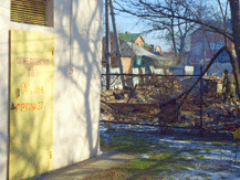 Фото Юлии Зимницкой