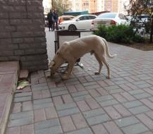 В детском саду В детском саду