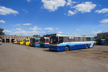 Парк предприятия составляет 87 единиц техники Парк предприятия составляет 87 единиц техники