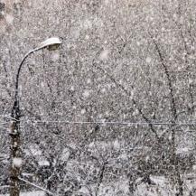 фото с сайта www.google.ru