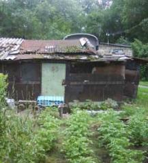 Фото Дмитрия Швыркова