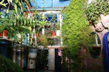 Фото А. Кондратьева