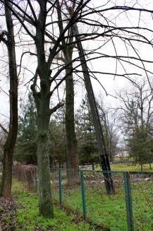 фото А.Кондратьева