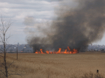 Фото Александра Кондратьева