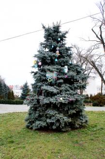 фото А.Кондратьева