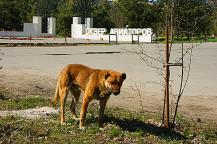 Фото А. Кондратьева