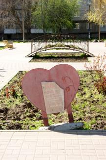 Фото А. Кондратьев