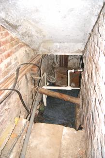 Фото А. Кондратьева