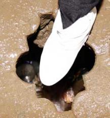 Фото Александра Кондратьева