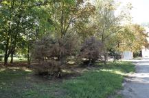 фото А. Кондратьева