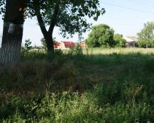 Здесь, в поселке СКВО, местные жители нашли убитого таксиста Здесь, в поселке СКВО, местные жители нашли убитого таксиста