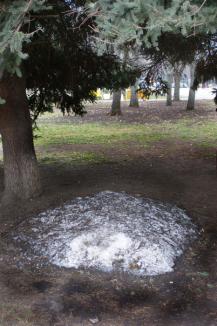 фото А.Кондратьева