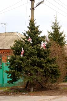 фото А.Кондратьева