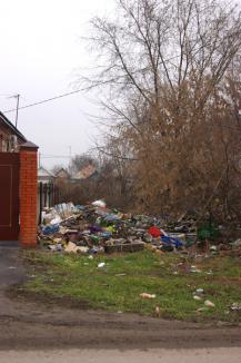 фото А.Кондратьев