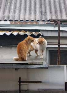 фото А.Кондратьев