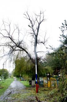 фото А.Кондратьева фото А.Кондратьева