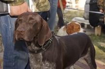 фото А. Кондратьева