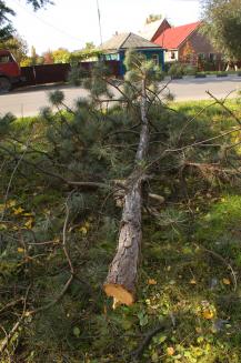 фото А.Кондратьев