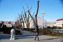 Фото А. Рашевского.