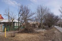 Спиленные ветки на улице Авиационной. Фото Александра Кондратьева