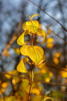 фото А.Кондратьев