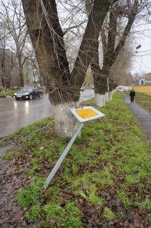 фото А.Кондратьев